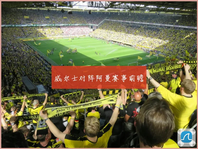 威尔士对阵阿曼赛事前瞻
