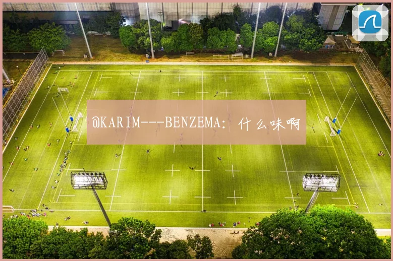 @KARIM---BENZEMA:什么味啊