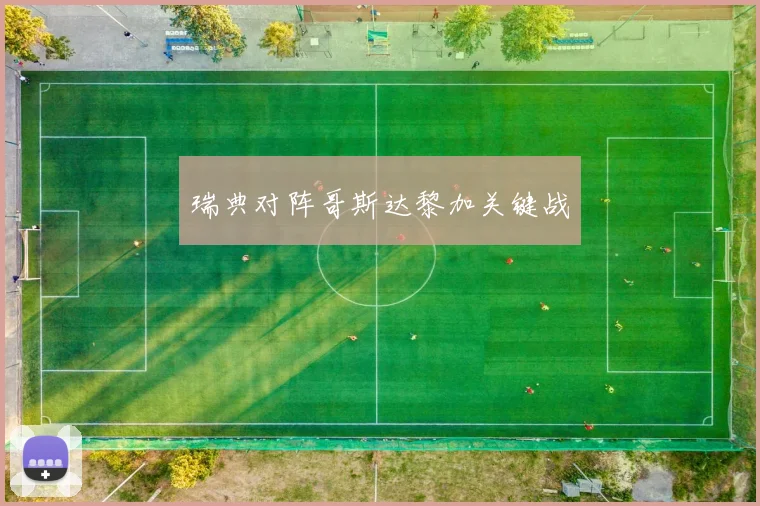 瑞典对阵哥斯达黎加关键战