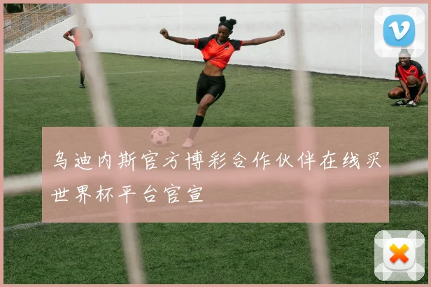乌迪内斯官方博彩合作伙伴在线买世界杯平台官宣