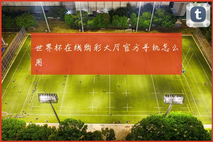 世界杯在线购彩大厅官方手机怎么用