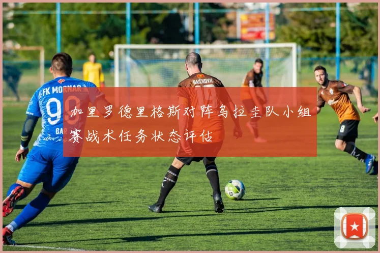 加里罗德里格斯对阵乌拉圭队小组赛战术任务状态评估