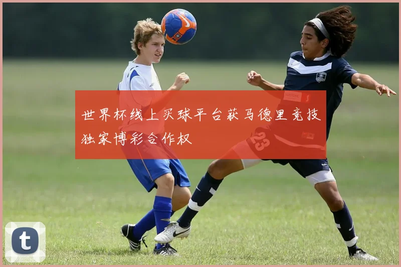 世界杯线上买球平台获马德里竞技独家博彩合作权